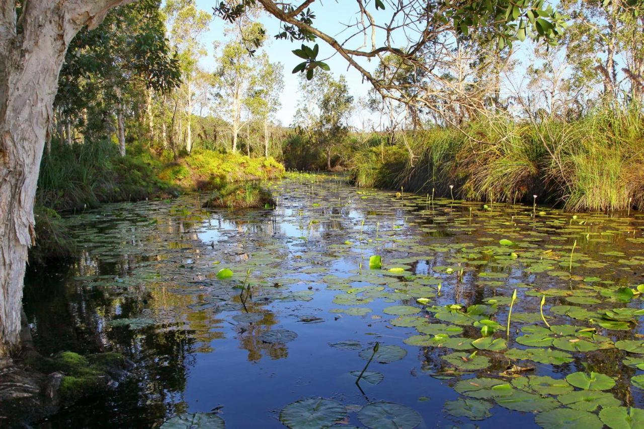 Salamander Bay Bed And Breakfast Esterno foto
