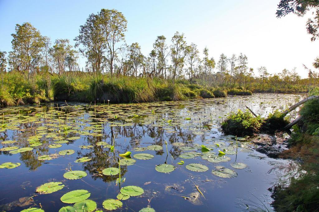 Salamander Bay Bed And Breakfast Esterno foto